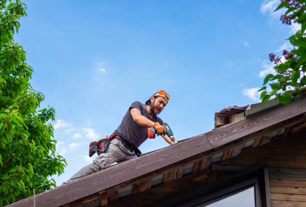 Best Green or Eco-Friendly Roofing Solutions  in Gridley, IL