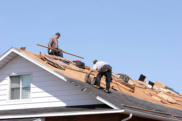 Best Skylights  in Gridley, IL